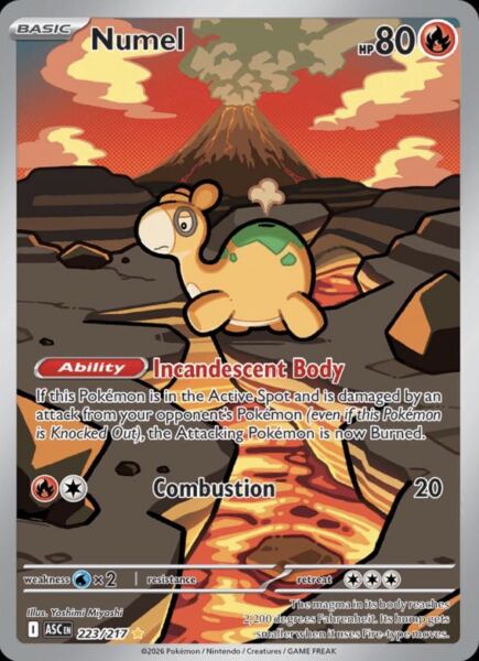 Numel (223/217) - 1